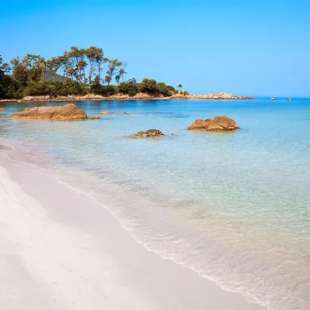 Grand Rte Des Sanguinaires Superbe Vue Ajaccio (Corsica)